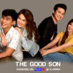 THE GOOD SON