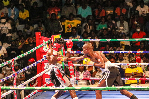 Fight Night 15