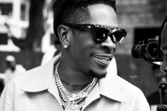 MAX ENTERTAINMENT: Regulate frameworks to attract investors - Shatta Wale