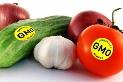 Genetically Modified Organisms