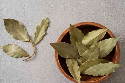 Bay Leaves