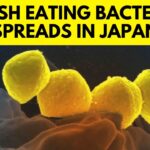 Flesh-Eating Disease