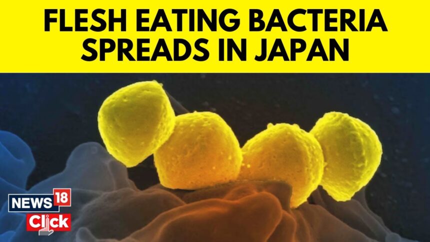 Flesh-Eating Disease