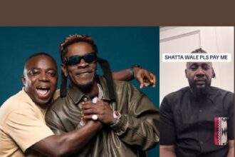 Sire Choppenson Sammy Flex